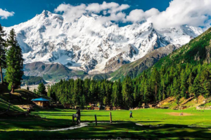 Nanga Parbat Fairy - Hospitalityexplain.com