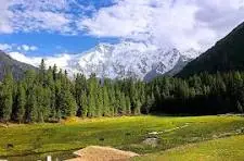 fairymeadows - Hospitalityexplain.com