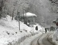 muree - Hospitalityexplain.com