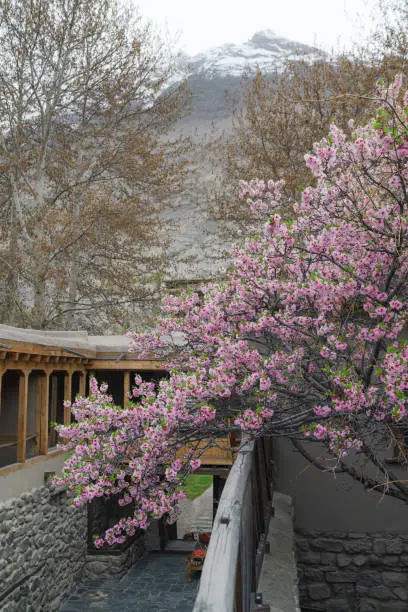 skardu valley - Hospitalityexplain.com